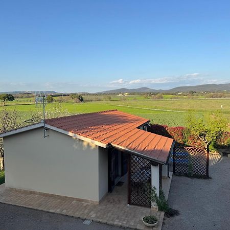 Agriturismo I Debbi Bibbona Exterior foto