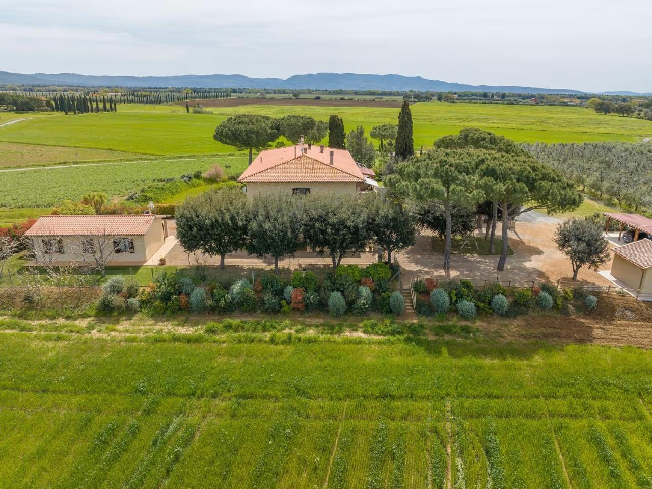 Agriturismo I Debbi Bibbona Exterior foto